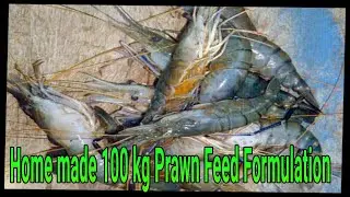 On firm Home made 3 types of Prawn low cost feed preparation| rosenbergii farming.