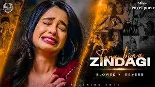 Tera Bina Zindagi 💔 | Heart Touching Sad Song | Emotional Lofi | Breakup Song 2025 | New Hindi Song