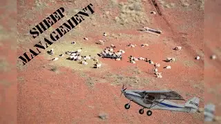 Farm Ops / Livestock management in the Kalahari - ICP Savannah-S Light Sport Aircraft