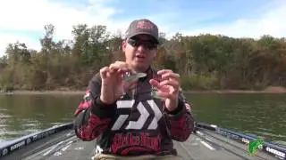 Ranger Pro Cody Meyer talks about the Strike King Rage Swimmer