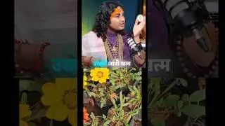 एक नारी का त्याग 😢👀✅ | अनिरुद्ध आचार्य जी #shorts #aniruddhacharyaji #motivation #nari #inpiration