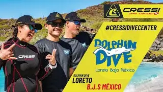 Dolphin Dive Cressi Dive Center | Baja California Loreto