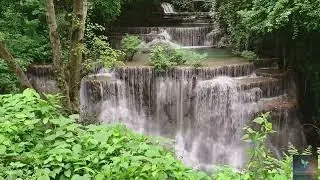 417 Hz  Wipes out Negativity - Cleanse Mind.- Birds singing and water splashing - Nature Sounds