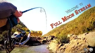 Welcome to Full Moon Stream