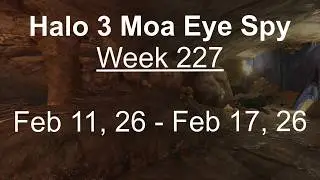 Halo 3 MCC | All Moa Eye Spy Locations for Week 227 | 2/11/26 - 2/17/26