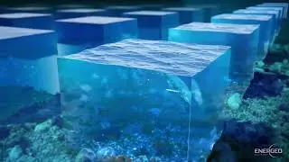 Seismic Surveys and Marine Environment Interaction 2025