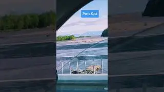 Небольшой паводок на реке Ола после дождей! #nastikae #fishing #рекаола