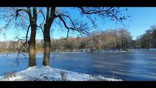 Winter Day in the Volkspark Jungfernheide Berlin Germany January 2021
