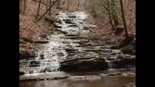 Mountain Conservation Trust of Georgia Greenie