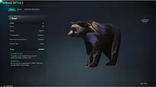 Best Spot Location for Rare Pattern Bears