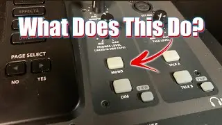Should I Use This Mono Button?