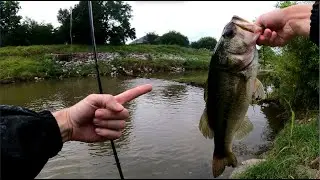 South Alabama Urban Creek fishing (Fishing a Caffeine Shad)