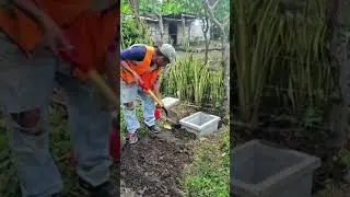 AVANZA AGUA EN EL LIMONAL, POTOS&Iacute; #noticias #abastecimientodeagua #2025 #managuasandinista