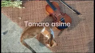 Tomaro Ashime | তোমার অসীমে | Sanghita Chakraborty