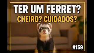 Ferret de Estima&ccedil;&atilde;o: Tudo sobre cuidados, cheiro e legaliza&ccedil;&atilde;o (Guia Completo)