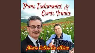 Satu meu,dragu meu (feat. Corin Irimia)