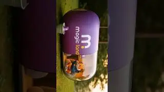 AI's Next Big Thing: Product Capsules #ai #aiads #capsule #aitools #chatgpt  #reel #shorts