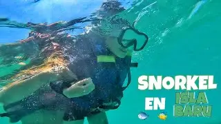 Snorkel en Isla Baru Cartagena Colombia es 🐟🐠