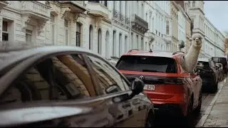 Alpaca Lowieke toont zijn krullen in een Volkswagen