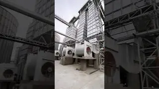 Decent Rice Mill: Where Quality Meets Taste - Behind the Scenes 🌾🍚 #milling  #quality #rice #farming