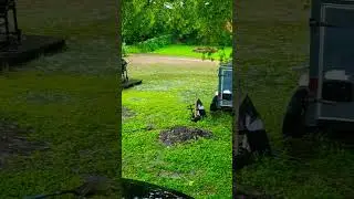 My yard FLOODED!