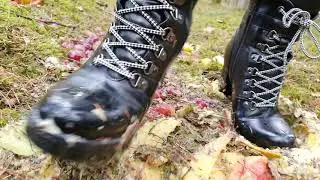 Tons of Fruits Crush in the Forest Preview