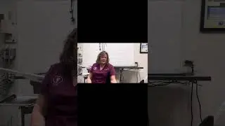Dr. Rosemary Niznik - Dog Acupuncture 