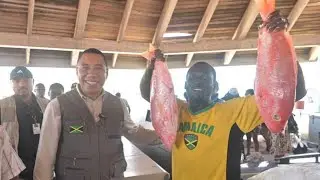 Every Jamaican Is a Part of the Economy 