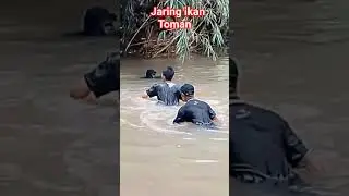 jaring ikan toman