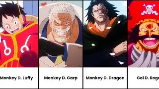All D Clan Members in One Piece