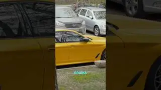 Угадай, где мы? Офисный тур для фанатов VW!
