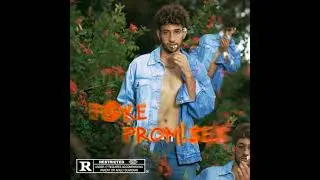 Vessari - Fake Promises