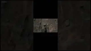 bird strike #aviation #birds #memes #funny #shortedit #shorts #short #babybird #babybirdvideo #boing