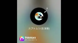 カブトムシ╰(*´︶`*)╯