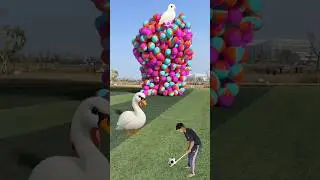 The mascot vibrato assistant placed onthe football field is popular, co-produced,creative new spe