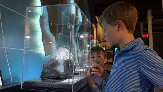 A Behind the Scenes Look at the State Museum's Collection