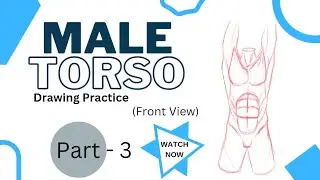 Male Torso Drawing ( prectice ), ( Front View ) PART - 3 || Deep Animation