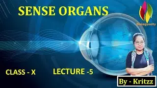SENSE ORGANS PART   5