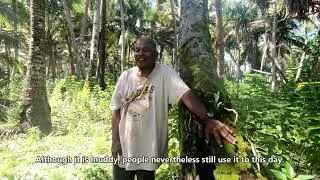 Ailinglaplap, RMI - Traditional knowledge and rainwater harvesting