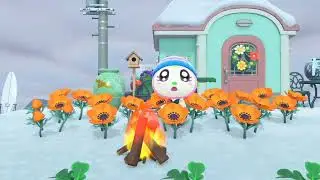 Animal Crossing New Horizons: Aaron Island For 17 Minutes