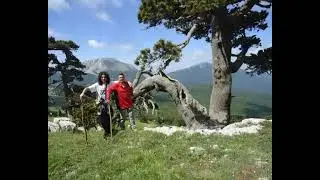 FOTOSTORIA 8&deg; Tappa Trekking dei Due Mari  dal santuario della Madonna del Pollino al   Piano Ratto