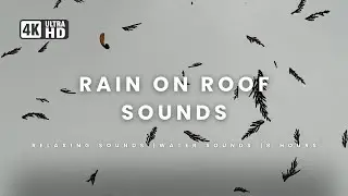 Relaxing Sounds of Rain on a Roof | 8 Hours