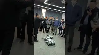 🐾 Unitree's Robot Dog: Mind-Blowing Power Unleashed!💥#RobotDog #TechInnovation #futureofrobots