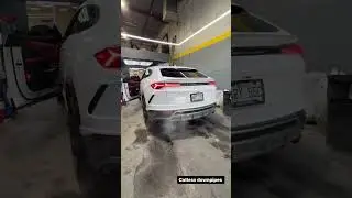 Lamborghini Urus AZM Catless Downpipe CRAZY SOUND 🤯 | AZ Motorsport #lamborghini #urus #downpipe