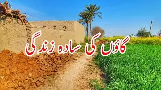This Is Pakistani Punjab &bull; BEAUTIFUL Village Life In Pakistan