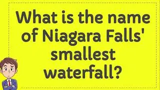 What is the name of Niagara Falls' smallest waterfall?