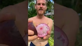 Этот фрукт нереальный!