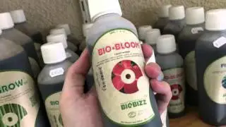 Biobizz Bio-Bloom - Como utilizar esse fertilizante