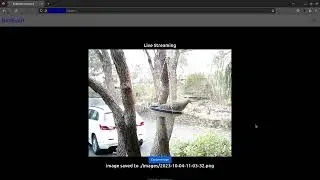 BirdEyeD - a simple bird camera using Python, Flask, and OpenCV