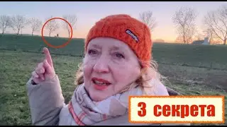 Три основные ингредиента для котлет  || домашние гамбургеры Вкусный день  и закат